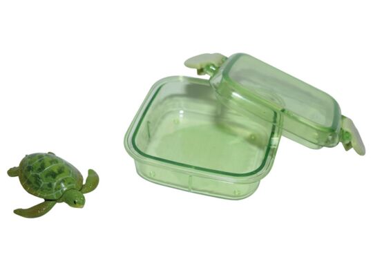Steckfigur Schildkröte in Box