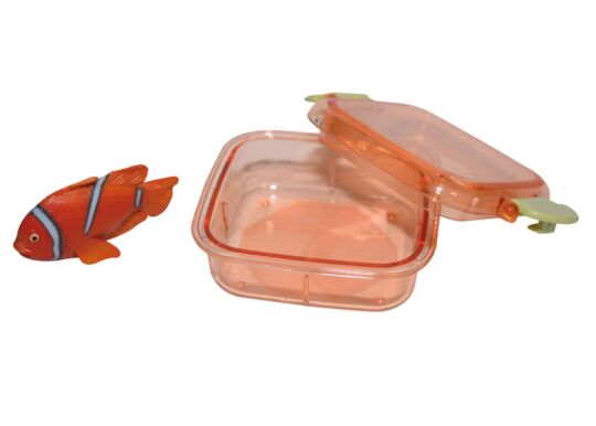 Steckfigur Fisch in Box