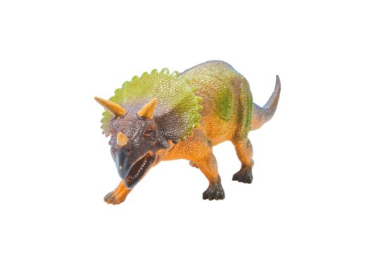 Dinosaurier Triceratops