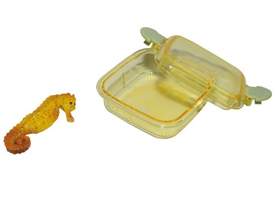 Steckfigur Seepferd in Box