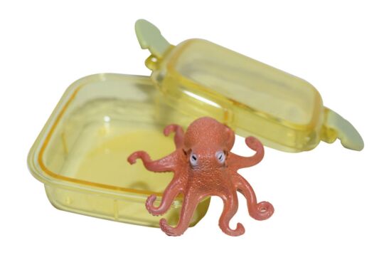 Steckfigur Krake in Box