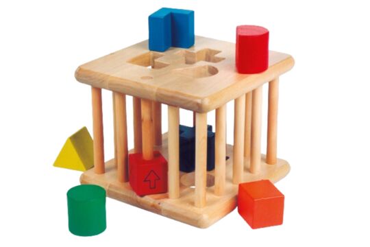 Steckbox Intelligenzus Steckus