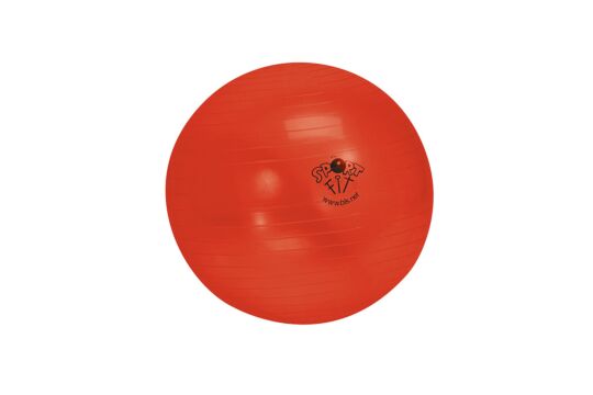 Gymnastikball 55 cm rot