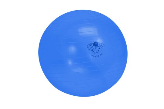 Gym - Blau 65cm