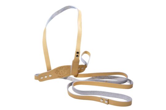 Pferdeleine beige