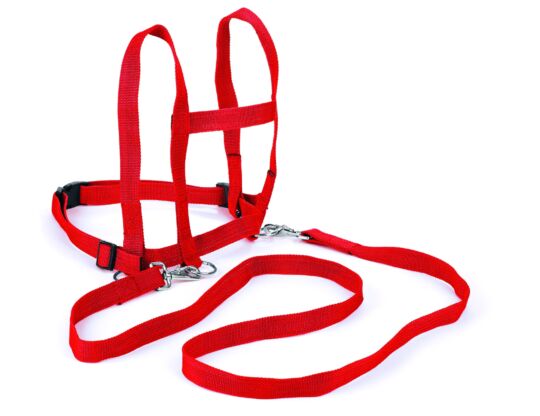 Profi Nylon Pferdeleine rot