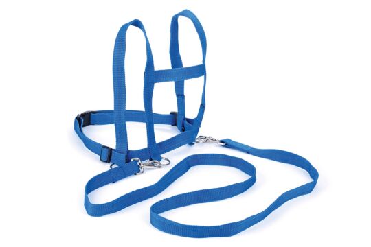 Pferdeleine blau