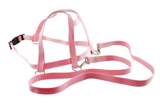 Profi Nylon Einhornleine  - Rosa