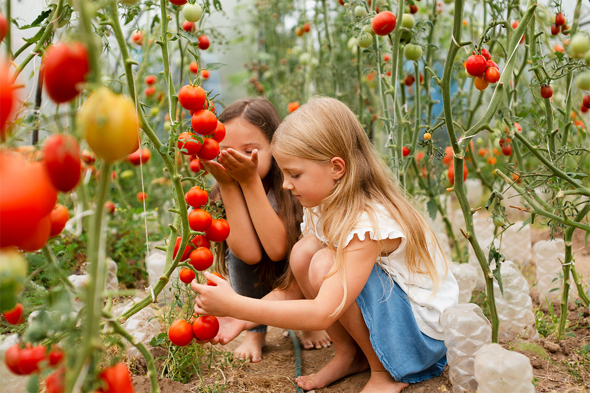 Gemeinschaftsgärten und gesunde Ernährung